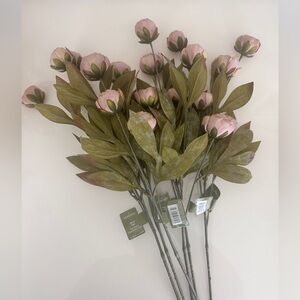 NWT Set of 6 Michael’s Viral Peony Stems in Tan by Ashland®